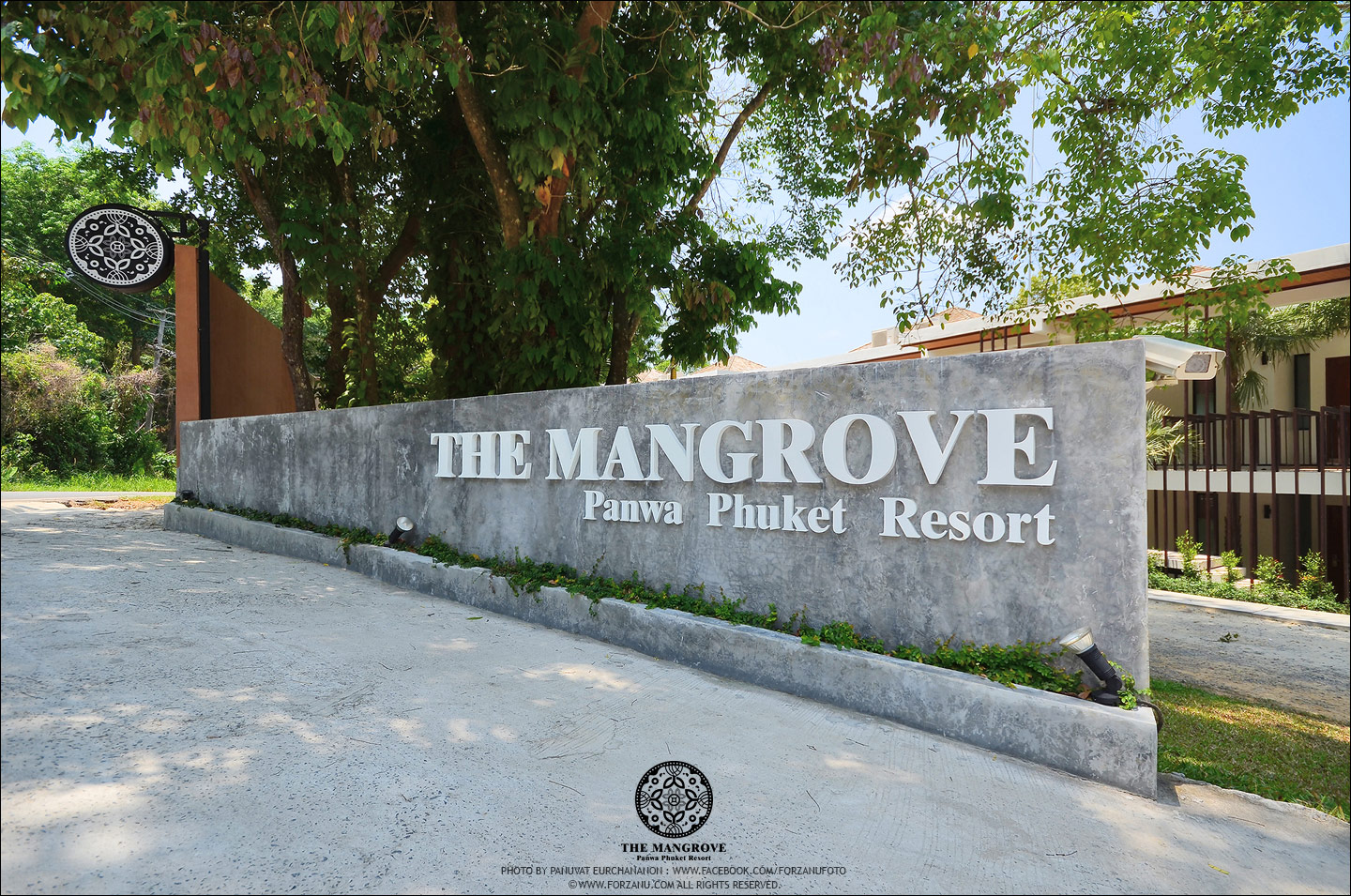 mangrove_01