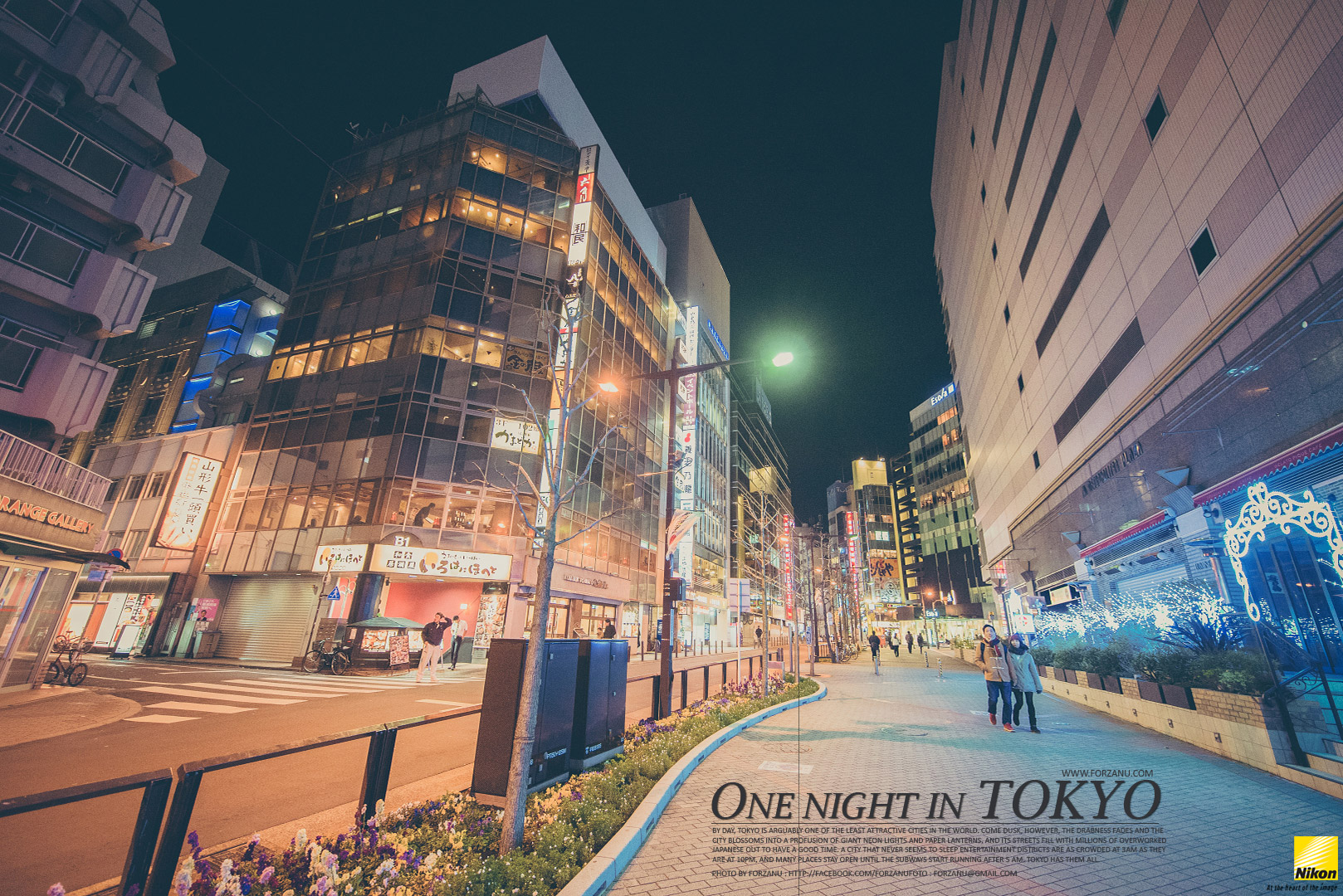 Japan_Tokyo_Night_0003